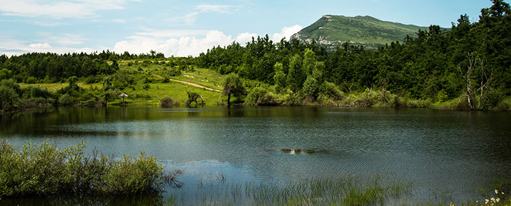 Photograph of a River, Mountain, and Lush Trees in Hudson Valley NYS